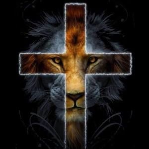 Meet your Posher, Bob